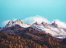 开云官网-大奖赛特鲁姆普险遭淘汰 奥沙利文感叹体力不支